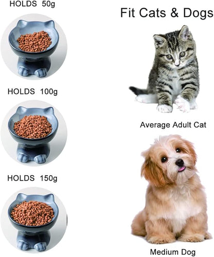 Nihow Elevated Cat/Dog Bowls Set : 6.2 Inch Ceramic Raised Cat Food & Water Bowl Set for Protecting Pet's Spine - Feeding & Watering Supplies for Cat/Small Size Dog - Elegant Gray(2PC)