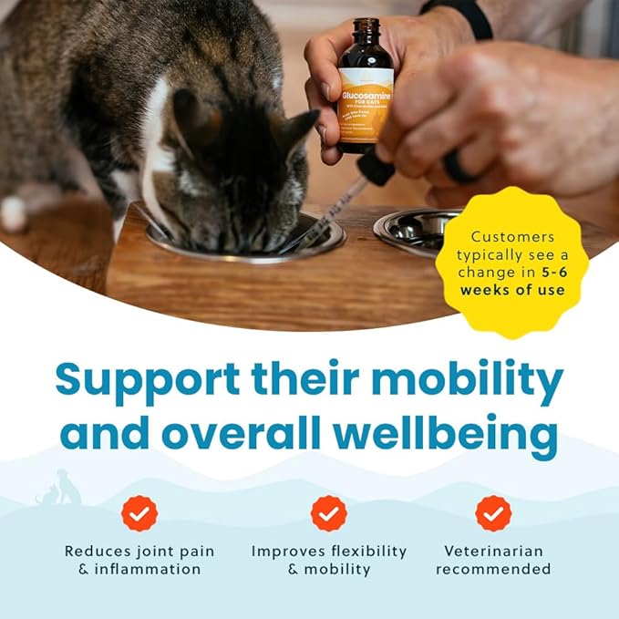 100% Natural Liquid Glucosamine Chondroitin with MSM for Cats, Hip & Joint Supplement for Senior Felines, Arthritis Support & Mobility Booster Glucosamine Drops, 2 Oz