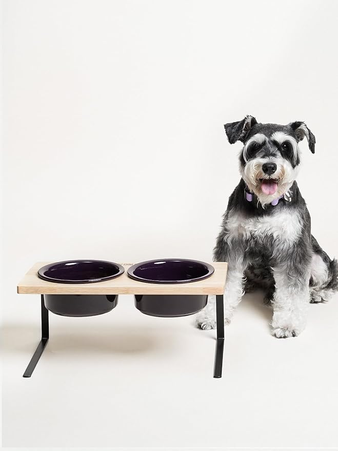 Elevated Dog Bowls, Raised Dog Bowl Stand with Two 6.5 inch Ceramic Bowl, Non-Slip Puppy Food and Water Bowls, Dogs Feeder for Small and Medium Breed,Purple