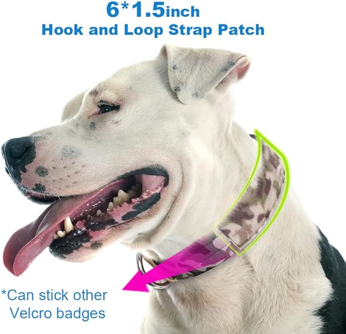 TSPRO Tactical Dog Collar, Adjustable, with Patch & Double Needle Metal Buckle, Heavy Duty for Large to Extra Large Dogs, Durable for Walking, Running, Hiking & Training (Camo Blue L-XL)