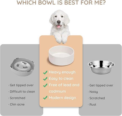 SPUNKYJUNKY 42OZ Ceramic Dog and Cat Bowl, Modern Cute Weighted Food Water Bowl for Replacement White (2 Pack)