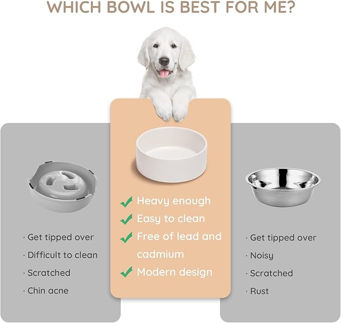 SPUNKYJUNKY 42OZ Ceramic Dog and Cat Bowl, Modern Cute Weighted Food Water Bowl for Replacement White (1 Pack)