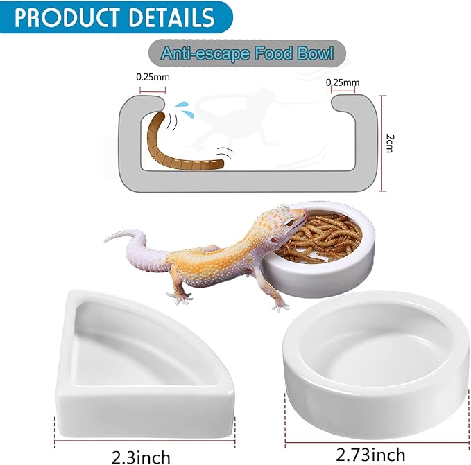 Woyrise 5Pcs Reptile Feeding Kit, 3Pcs Stainless Steel Feeding Tongs, Rubber Tipped Soft Tweezers, Bug Feeder Cricket Clamp, 2Pcs Reptile Food Dish Water Bowl for Reptiles,Gecko,Bearded Dragon, Spider
