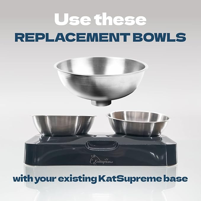 KatSupreme Raised Cat Food Bowls - Elevated Tilted Bowls Set, Stainless Steel, 2 pcs