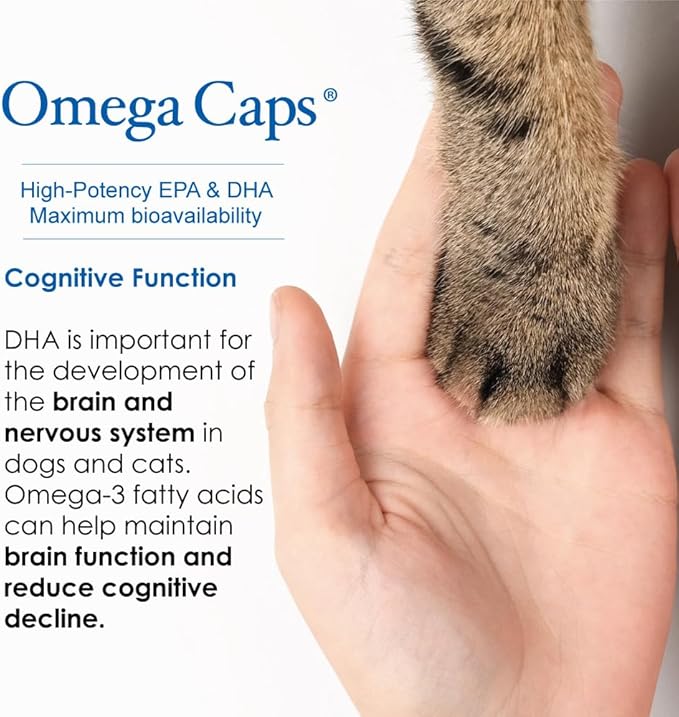 Liquid for Dogs and Cats High Potency Omega-3 and Omega-6 Fatty Acids Concentrated EPA and DHA Fish Oil Supplement Vet Formulated Made in USA Skin Coat Joint and Heart Health 8 fl oz 48 Servings