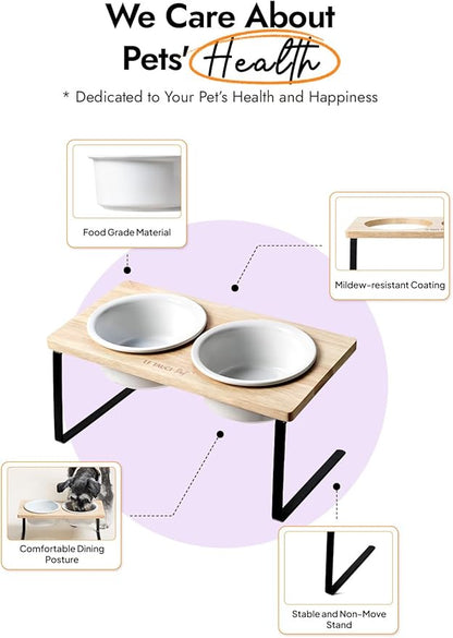 Elevated Dog Bowls, Raised Dog Bowl Stand with Two 6.5 inch Ceramic Bowl, Non-Slip Puppy Food and Water Bowls, Dogs Feeder for Small and Medium Breed, White