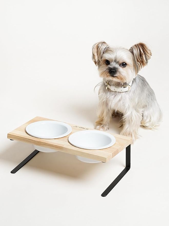 Elevated Dog Bowls, Raised Dog Bowl Stand with Two 5.1 inch Ceramic Bowls, Non-Slip Cat Food and Water Dish for Small and Medium Breed, White