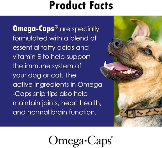 Omega Caps HP Snip Tips for Cats and Small Dogs High Potency EPA and DHA Maximum Bioavailability Fish Oil Supplement Vet Formulated Made in USA Skin Coat Joint and Heart Health 250 Capsules
