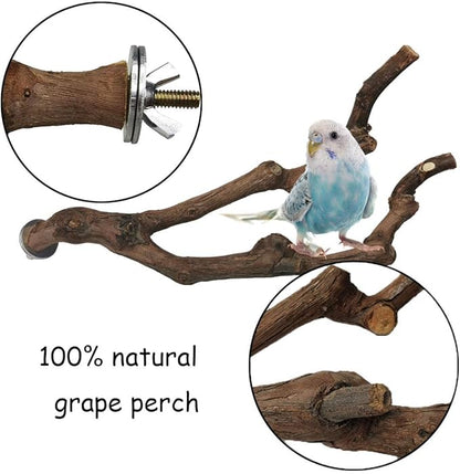 kathson Natural Parrot Perch Bird Stand Pole Wild Grape Stick Paw Grinding Fork Parakeet Climbing Standing Branches Toy Chewable Cage Accessories for Small Budgies Cockatiels Lovebirds 4PCS