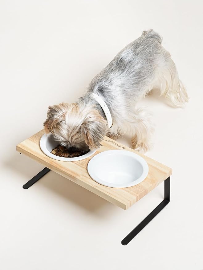 Elevated Dog Bowls, Raised Dog Bowl Stand with Two 5.1 inch Ceramic Bowls, Non-Slip Cat Food and Water Dish for Small and Medium Breed, White