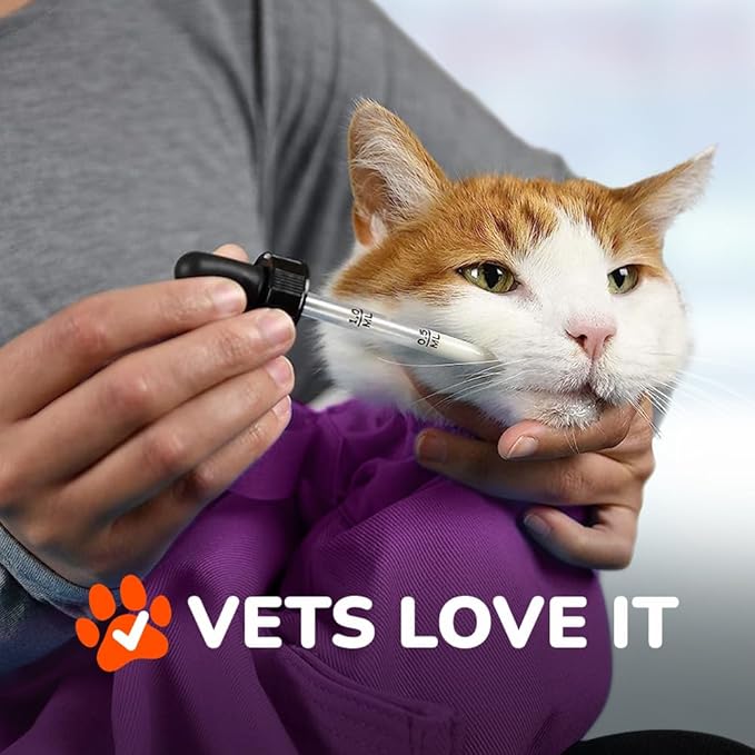 Cozy Comfort Carrier - Large Lavender Pet Carrier and Cat Carrier Soft for Grooming, Vet Visits, Medication Administration, Dental Care, and Nail Trimming