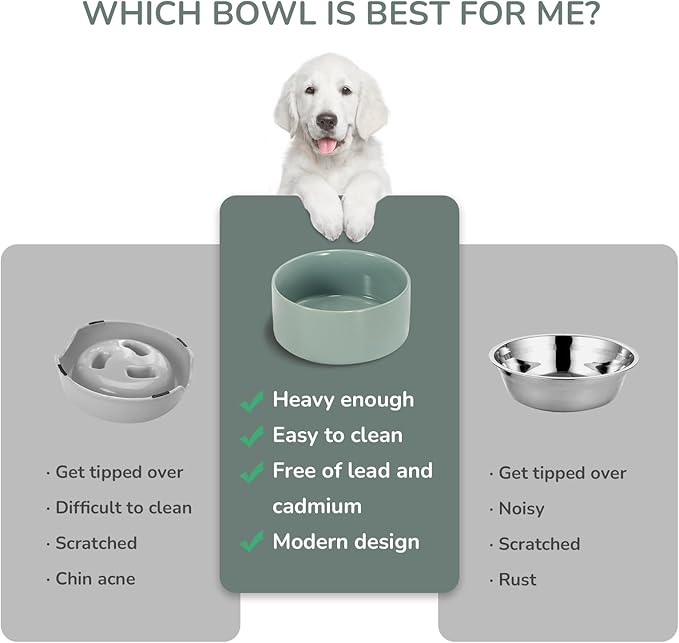 SPUNKYJUNKY 13.5OZ Ceramic Dog and Cat Bowl, Modern Cute Weighted Food Water Bowl for Replacement Morandi Green (1 Pack)