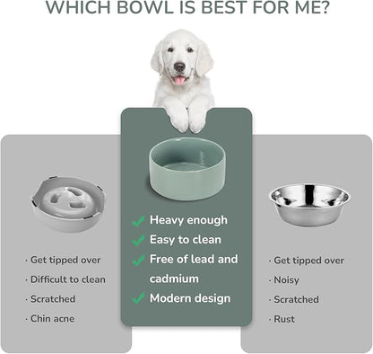 SPUNKYJUNKY 13.5OZ Ceramic Dog and Cat Bowl, Modern Cute Weighted Food Water Bowl for Replacement Morandi Green (1 Pack)