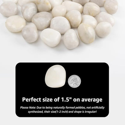 10lbs River Rocks - 1-2 Inch Natural White Decorative Rocks for Potted Plants, River Rocks for Aquariums, and Landscaping (Weight : 10 LB, White)