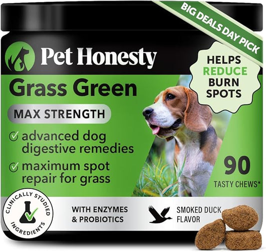 Grass Green Max Strength Burn Spot Chews for Dogs - Premium Formula - Dog Pee Lawn Spot Saver Supplement Caused by Dog Urine, Supports Healthy Digestion w/Probiotics + DL-Methionine - 90ct