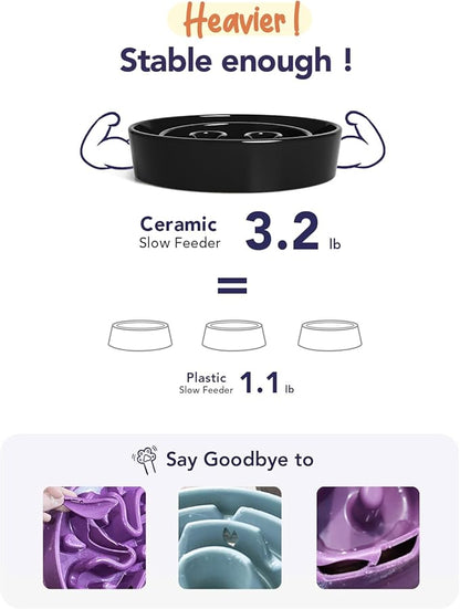 LE TAUCI Dog Bowls Slow Feeder Ceramic, 1.5 Cups Slow Feeding Dog Bowl Small Medium Breed, Puppy Bowl for Fast Eaters,Skull Black