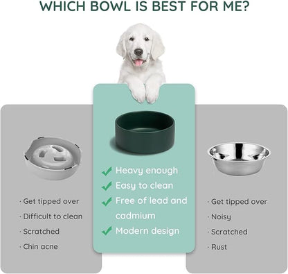 SPUNKYJUNKY 13.5OZ Ceramic Dog and Cat Bowl, Modern Cute Weighted Food Water Bowl for Replacement Green (2 Pack)