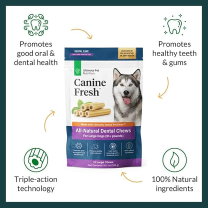 ULTIMATE PET NUTRITION Canine Fresh Dental Chews, Dental Dog Treats, Oral Care and Hygiene Sticks, Soothes Gums, Vet Developed, 12 Chews (Large)