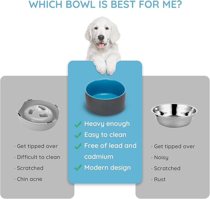 SPUNKYJUNKY 28.7OZ Ceramic Dog and Cat Bowl, Modern Cute Weighted Food Water Bowl for Replace Blue-Grey (1 Pack)