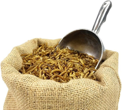 Chubby Mealworms 4Lbs Bulk Dried Mealworms High Protein Treat for Chickens, Birds, Ducks and Much More