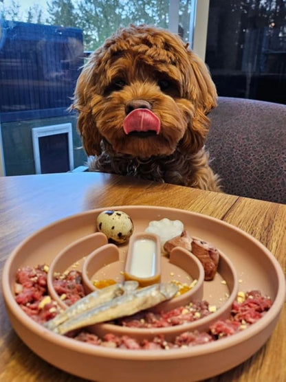 OHMO Slow Feeder Dog & Cat Bowl, Non-Slip with Suction Cup, Food-Grade Silicone, Anti-Choking & Anti-Bloat (Coral, M-Infinite, 7.3")