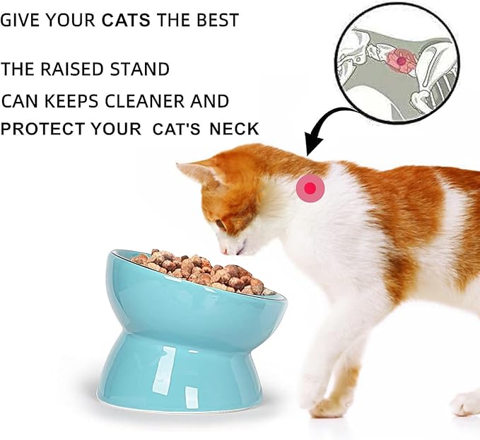 ONTUBE Ceramic Raised Cat Dishes Bowl, Pet Food Bowls,5.3 Inch 10 oz (Blue)