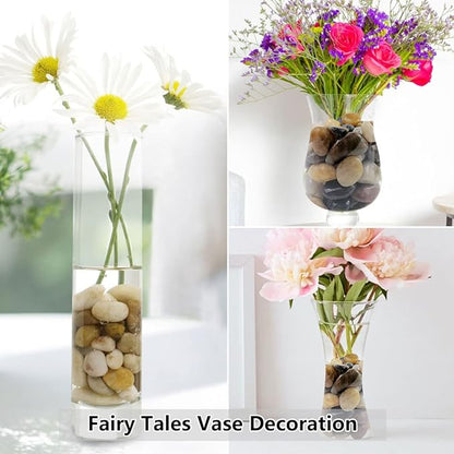 10lbs Pebbles for Indoor Plants, 1-2 Inch Mixed Color High Polished River Rocks Outdoor Decorative Stones Vase Filler Fish Tank Aquariums Landscaping Garden Outdoor and Indoor DIY