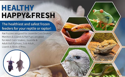 MiceDirect EST. 2003 Frozen Rat Combo Pack Rat Fuzzies & Pups Feeder Snake Reptile Food, 40 Ounce (80 Count)