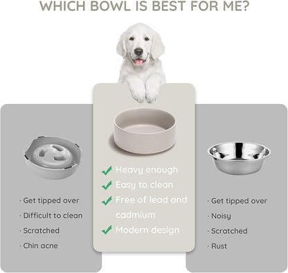 SPUNKYJUNKY 13.5OZ Ceramic Dog and Cat Bowl, Modern Cute Weighted Food Water Bowl for Replacement Grey (2 Pack)