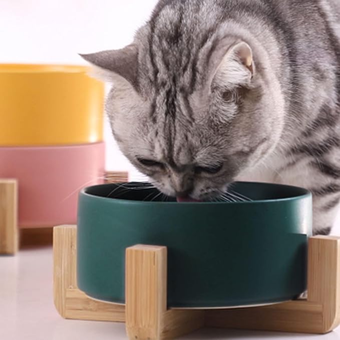 Petygooing Dog Bowls,Green Ceramic Cat Dog Bowl Set with Stand for Food and Water Feeder,Non-Slip Cute Modern Pet Dishes for Cats Small Size Dogs Puppy (13.5OZ/5.1 in)