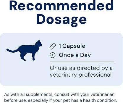 Cat Probiotics - GMP Prebiotics and Probiotics - Reduces Diarrhea Flareups for Cats - KittyBiome