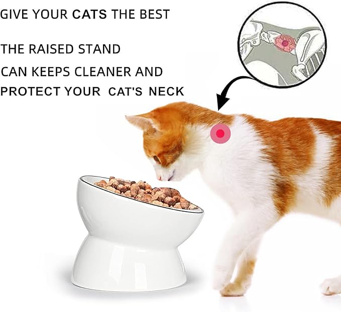 ONTUBE Ceramic Raised Cat Dishes Bowl, Pet Food Bowls,5.3 Inch 10 oz (White)