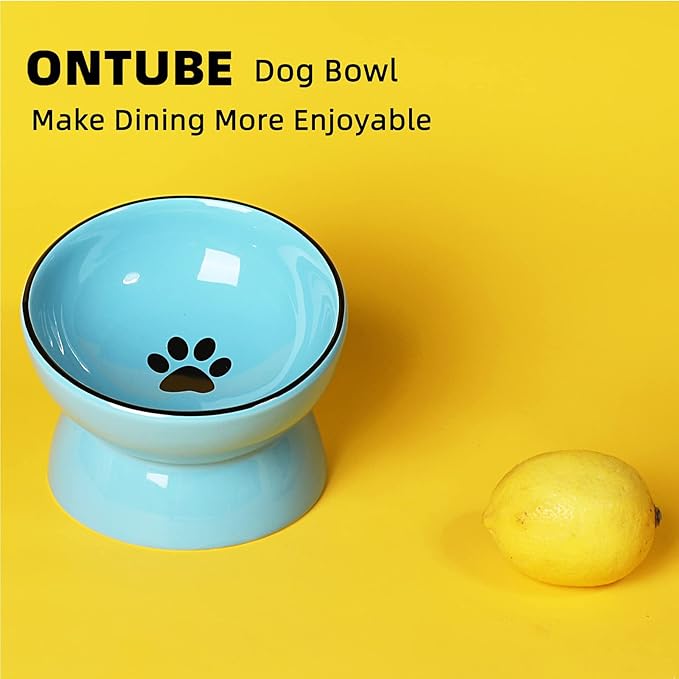ONTUBE Ceramic Raised Cat Dishes Bowl, Pet Food Bowls,5.3 Inch 10 oz (Blue)
