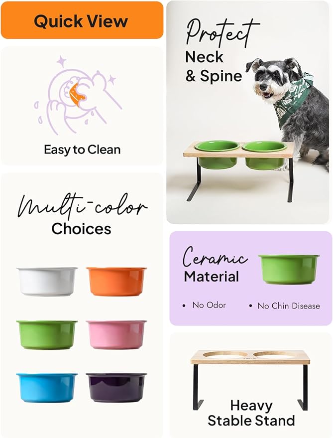 Elevated Dog Bowls, Raised Dog Bowl Stand with Two 6.5 inch Ceramic Bowl, Non-Slip Puppy Food and Water Bowls, Dogs Feeder for Small and Medium Breed,Green