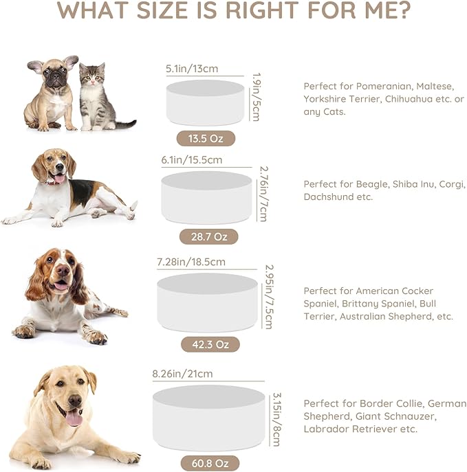 SPUNKYJUNKY 28.7OZ Ceramic Dog and Cat Bowl, Modern Cute Weighted Food Water Bowl for Replacement White (2 Pack)