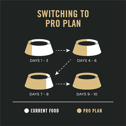 Purina Pro Plan Sensitive Skin and Stomach Dry Dog Food Senior Adult 7 Plus Salmon and Rice Formula - 4 lb. Bag