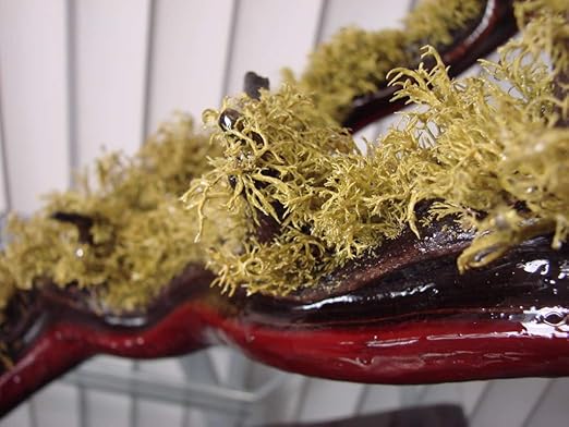 Aquarium Safe Epoxy Resin - MAX ACR A/B for Coating Casting Strong Glue Fiberglassing Resin, for Making Plywood Aquarium & Terrarium, Concrete Coating & Sealant for Koi Ponds, Fresh Or Saltwater Use