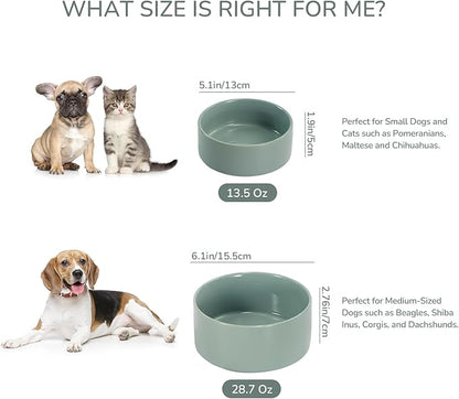 SPUNKYJUNKY 13.5OZ Ceramic Dog and Cat Bowl, Modern Cute Weighted Food Water Bowl for Replacement Morandi Green (1 Pack)