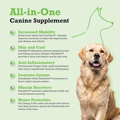 100% Pure Camelina Oil for Dogs, 32 oz - Dog Skin and Coat Supplement All-Natural Supplements, Support Hearts, Joints, Coats, Skin and Anti-inflammatory, Protective Care - Omega 3 by NatrixOne