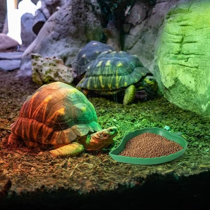 4Pack Terrarium Bowls Turtle Feeding Dishes Shallow and Flat Reptile Food and Water Feeder for Tortoise,Bearded Dragon,Lizards,Gecko,Cute Leaf and Mango Shaped