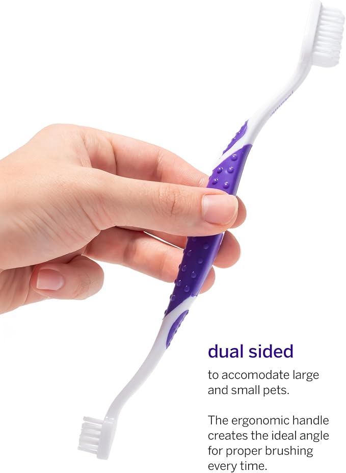 Petsmile Professional Pet Teeth Brushing Kit for Cats & Dogs - Only VOHC Accepted Toothpaste & Patented Toothbrush - Proven to Control Plaque & Tartar Calprox Formula (London Broil, 2.5 Oz)