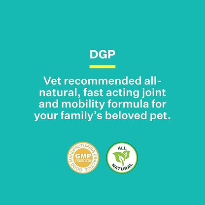 DGP, All-Natural Joint Supplement for Dogs - Joint Support with Turmeric, Boswellia Extract & More - Quick Effect for Pet Mobility Support - 180 Chewable Tablets (Pack of 3)