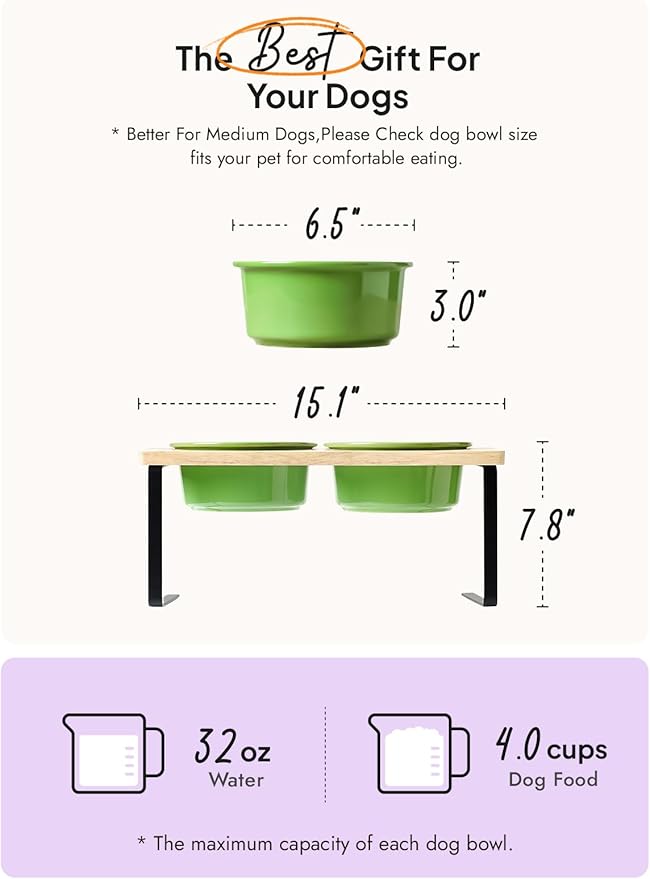 Elevated Dog Bowls, Raised Dog Bowl Stand with Two 6.5 inch Ceramic Bowl, Non-Slip Puppy Food and Water Bowls, Dogs Feeder for Small and Medium Breed,Green
