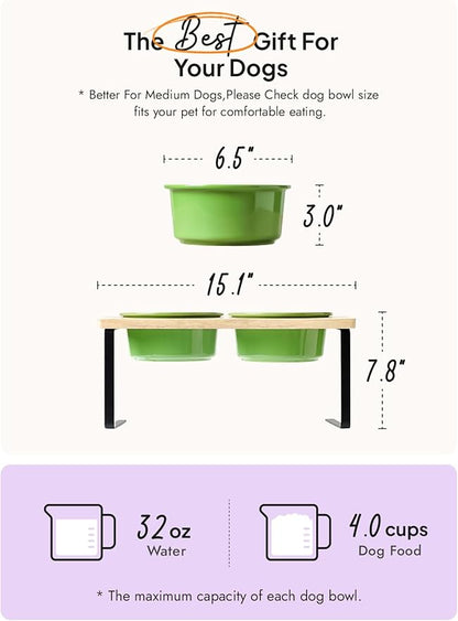 Elevated Dog Bowls, Raised Dog Bowl Stand with Two 6.5 inch Ceramic Bowl, Non-Slip Puppy Food and Water Bowls, Dogs Feeder for Small and Medium Breed,Green