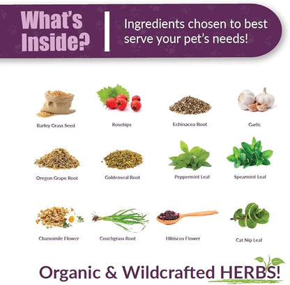 Amber NaturalZ Kitty-DT Digestive Rescue Herbal Supplement for Cats | Supports Normal Digestive Function and Occasional Gastric Upsets | Natural Aid for Gastrointestinal Health