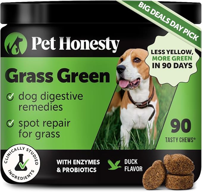 Grass Green Dog Chews - Urine Neutralizer for Lawn, Dog Pee Grass Helps Yard Stay Green Addressing Burn Spots with Probiotics & Enzymes (Duck)
