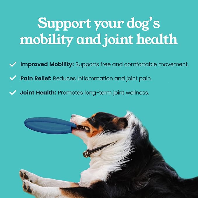 Hip & Joint Chews for Dogs with Glucosamine, Chondroitin, and MSM – Supports Joint Health and Mobility – 90 Soft Chews