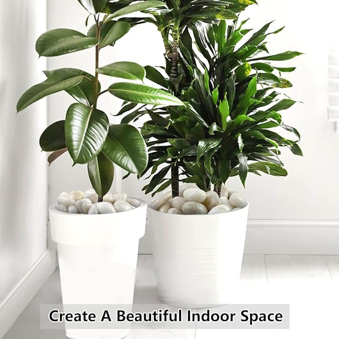 10lbs White River Rocks, 1-2 Inch Natural Pebbles for Indoor Plants, High Polished Decorative Stones Vase Filler Fish Tank Aquariums Landscaping Garden Outdoor and Indoor DIY