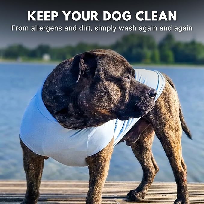 Spark Paws Sunblock Dog T-Shirt, SPF30 Protection, Lightweight Breathable Quick Dry for Dogs with Sensitive Skin - Blue & Mint (Set of 2) - M