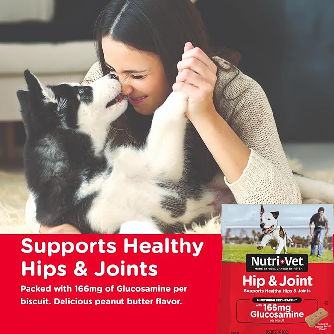 Nutri-Vet Hip & Joint Biscuits for Dogs, Tasty Glucosamine Treat, Puppy Supplements, Dog Joint Supplement, Small Sized Biscuit with 166mg Glucosamine, Puppy Essentials, 16 oz (Pack of 2)
